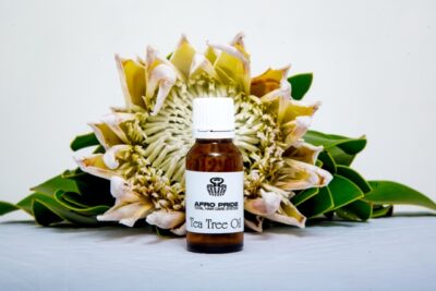 Tea-Tree-1